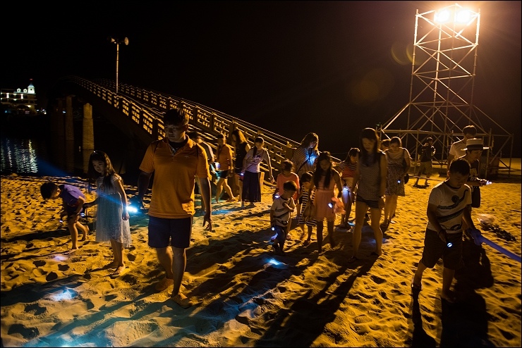 夜訪沙蟹.jpg 夜訪沙蟹.jpg