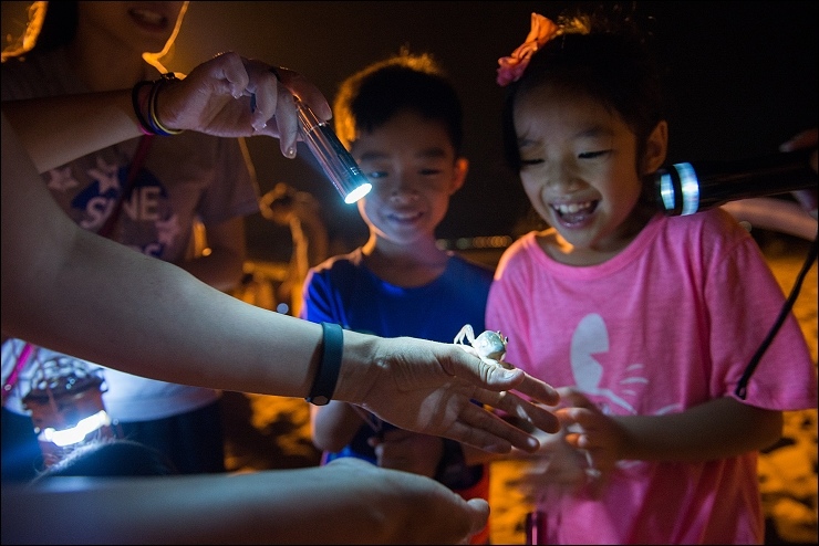 夜訪沙蟹3.jpg 夜訪沙蟹3.jpg