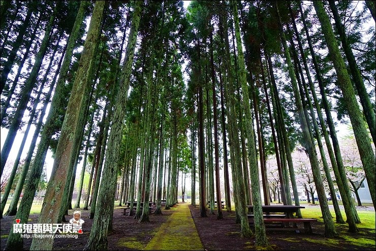 DSC08710.jpg DSC08710.jpg