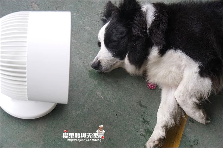 DSC00366.jpg DSC00366.jpg