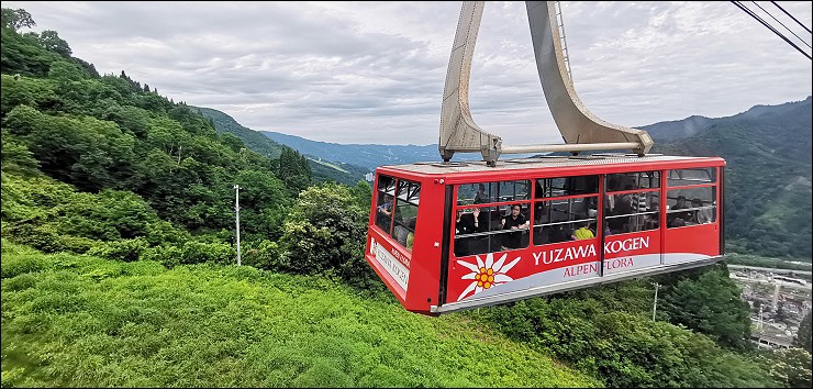 日本新潟