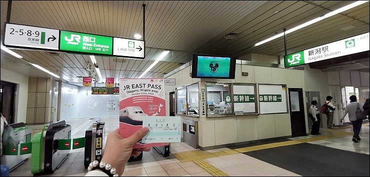 日本新潟 日本新潟