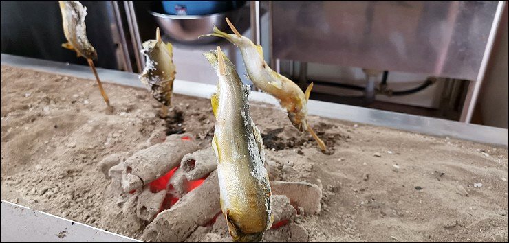 日本山形 日本山形