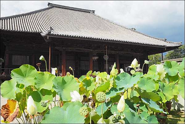 奈良自由行 奈良三大景點興福寺 西大寺 唐招提寺 小房觀音 購物 加碼期間限定燈花會 魔鬼甄與天使嘉 痞客邦 奈良自由行 奈良三大景點興福寺 西大寺 唐招提寺 小房觀音 購物 加碼期間限定燈花會 魔鬼甄與天使嘉 痞客邦