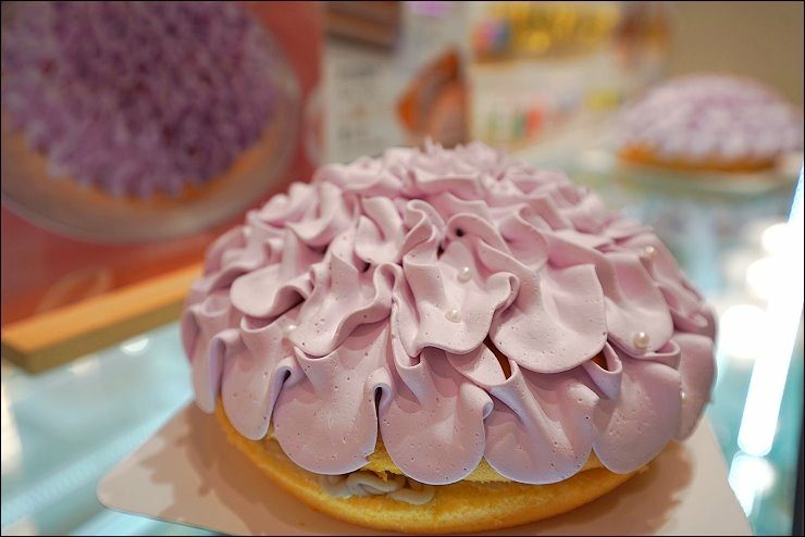 DSC09482.jpg DSC09482.jpg