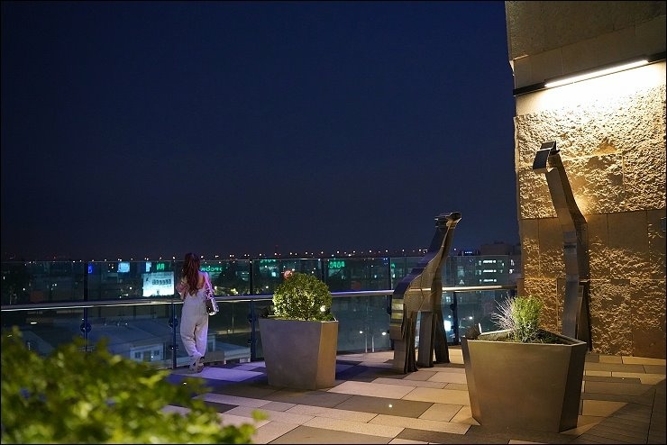 DSC09619.jpg DSC09619.jpg