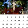 calendar2875296