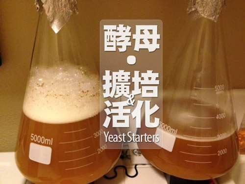 bnb-Yeast-Starts.jpg bnb-Yeast-Starts.jpg