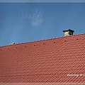 FixIMG_3979.jpg