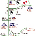 白鷺鷥地圖.jpg