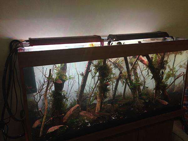 燈管和植物燈 Led燈具比一比 風生水起 燈 好運balan Xing 的部落格 痞客邦 燈管和植物燈 Led燈具比一比 風生水起 燈 好運balan Xing 的部落格 痞客邦