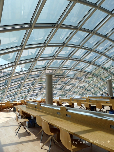 Joe and Rika Mansueto Library