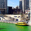 Dyeing the Chicago River