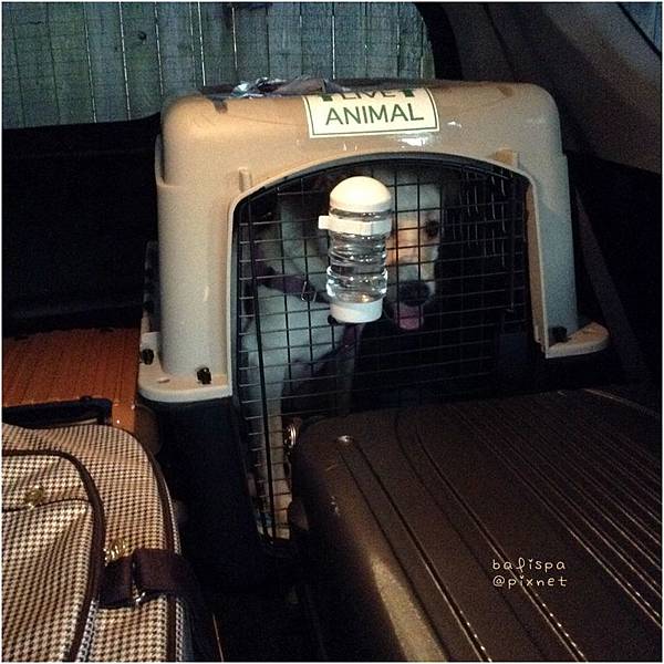 2016-07-12 20.22.38.jpg 2016-07-12 20.22.38.jpg