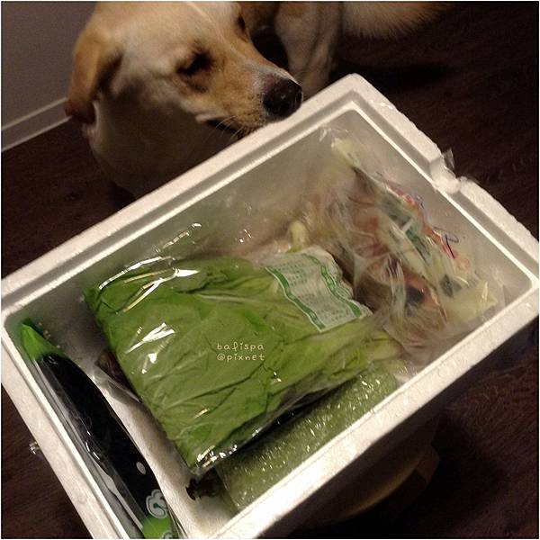 2016-08-17 15.19.30 2016-08-17 15.19.30