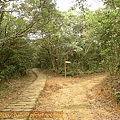 P1050196.jpg