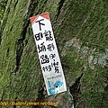 P1070767.jpg