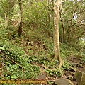 P1070835.jpg