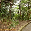 P1070816.jpg