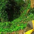 P1000501.jpg