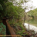 P1050252.jpg