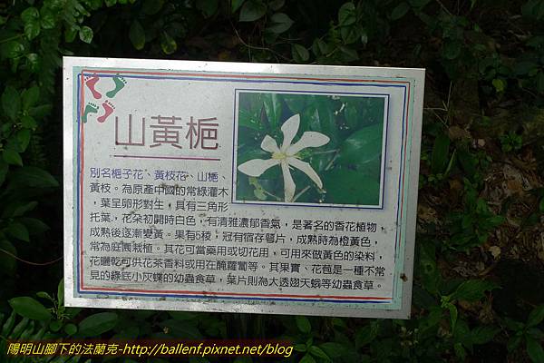 P1230156.jpg