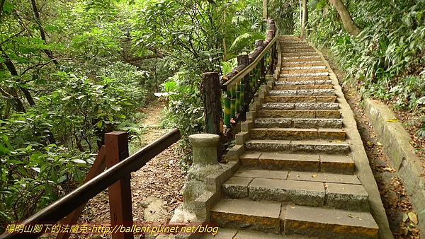 P1050544.jpg
