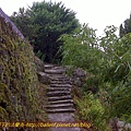 DSC00697.jpg