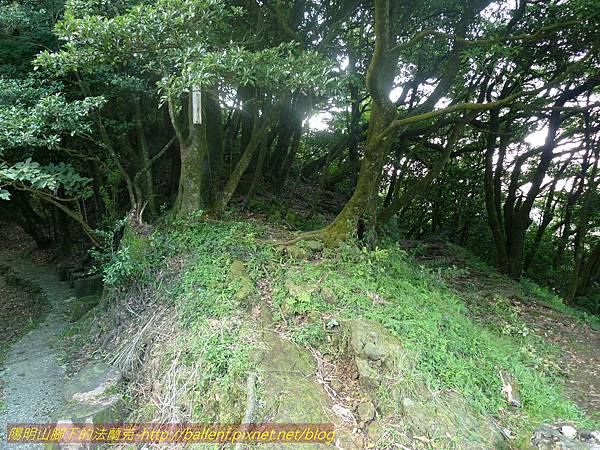 金天露宮 (7).jpg