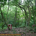 金天露宮 (18).jpg
