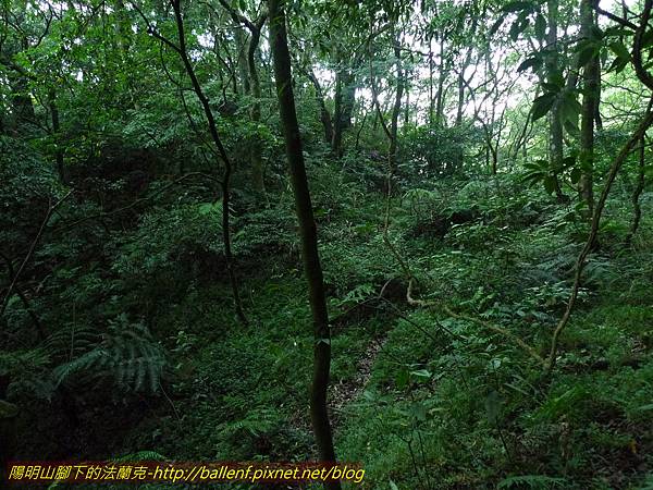 金天露宮 (34).jpg