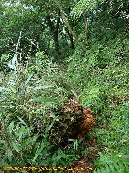 金天露宮 (40).jpg