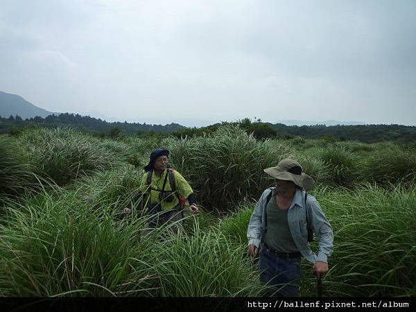 相對山.頂山南峰.瑪番山.頂山西南峰.頂山.高頂山.北五指山.杏林山 861.JPG