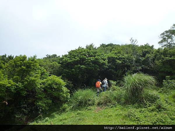 相對山.頂山南峰.瑪番山.頂山西南峰.頂山.高頂山.北五指山.杏林山 882.JPG