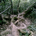 DSC01103.jpg