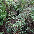 P1260410.jpg