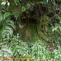 P1260470.jpg