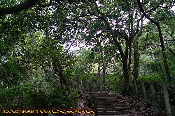 P1260541.jpg P1260541.jpg