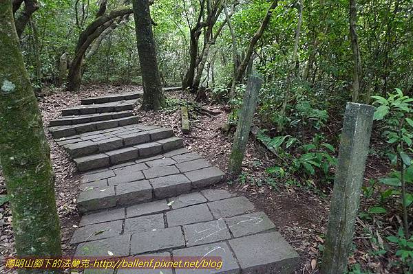 P1260544.jpg P1260544.jpg