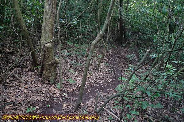 P1260548.jpg P1260548.jpg