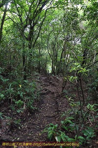 P1260550.jpg P1260550.jpg