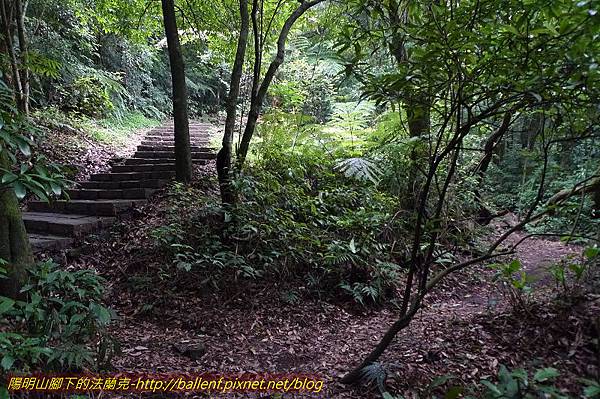 P1260551.jpg P1260551.jpg