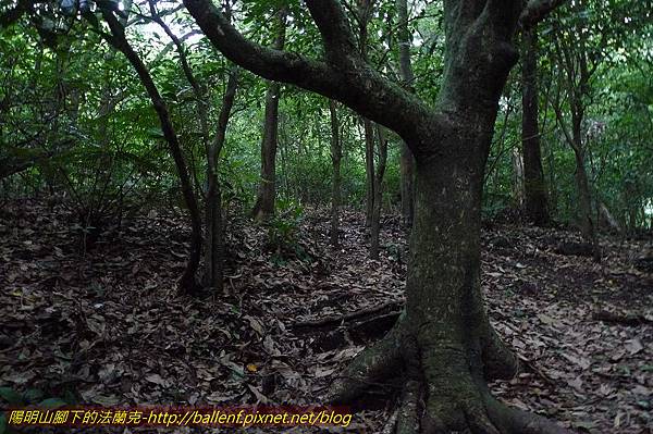 P1260560.jpg P1260560.jpg