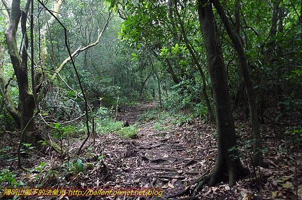 P1260561.jpg P1260561.jpg