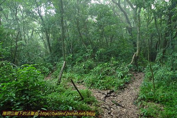 P1260562.jpg P1260562.jpg