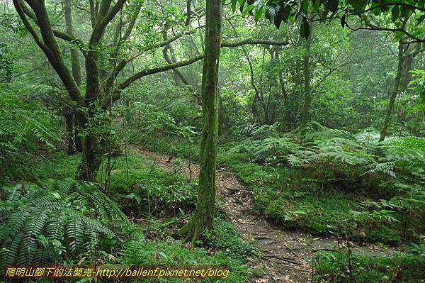 P1260566.jpg P1260566.jpg