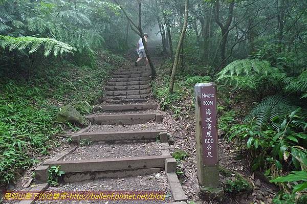 P1260570.jpg P1260570.jpg