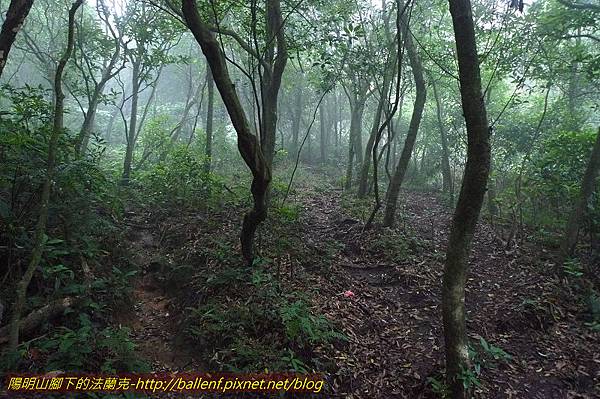 P1260572.jpg P1260572.jpg