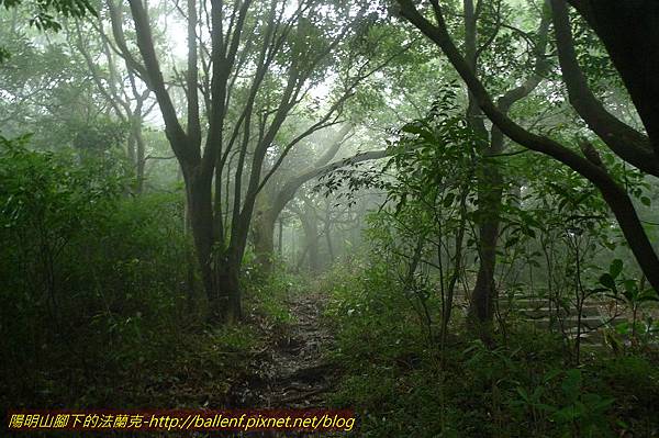 P1260580.jpg P1260580.jpg