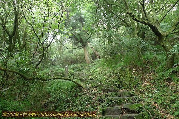 P1260591.jpg P1260591.jpg